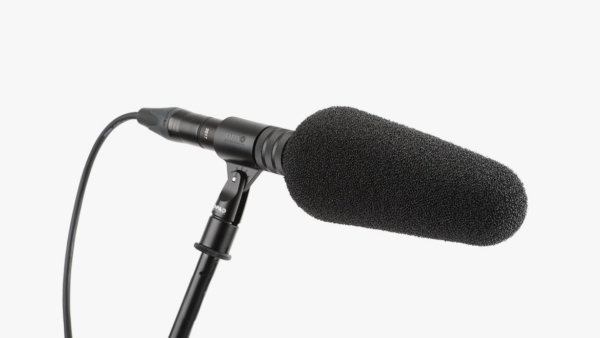 DPA 2017-shotgun-microphone