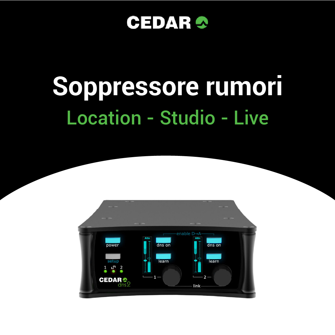  Cedar 